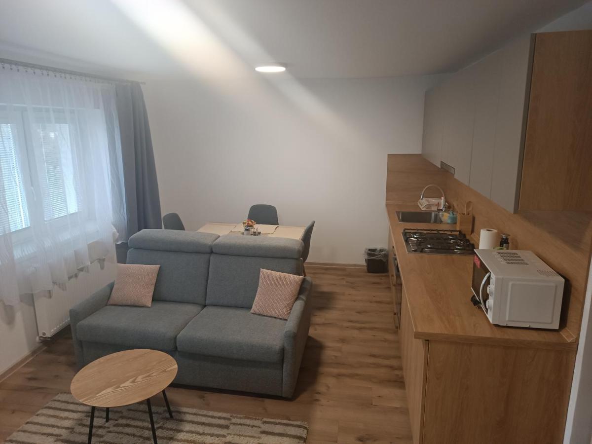 Apartmany Vila Juraj Trenčianske Teplice Exterior foto